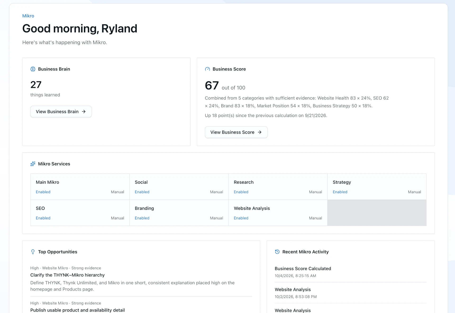 Mikro AI business intelligence interface